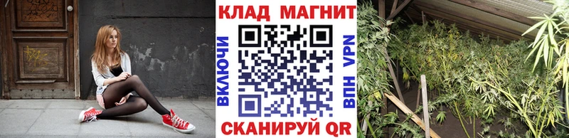 Продажа наркотиков Кизел Альфа ПВП  МЕГА как зайти  ГАШ  МЕФ  МЕТАМФЕТАМИН 
