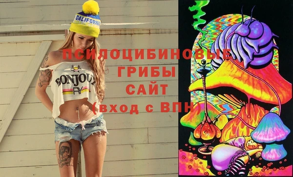 молекула духа Тутаев