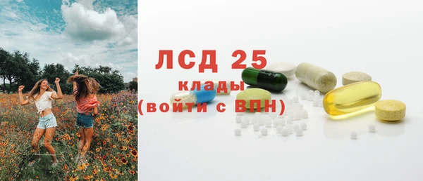 ГАЛЛЮЦИНОГЕННЫЕ ГРИБЫ Беломорск