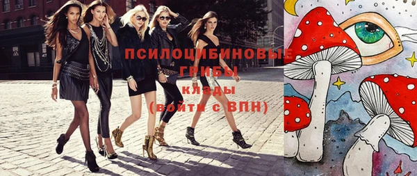 таблы Белокуриха