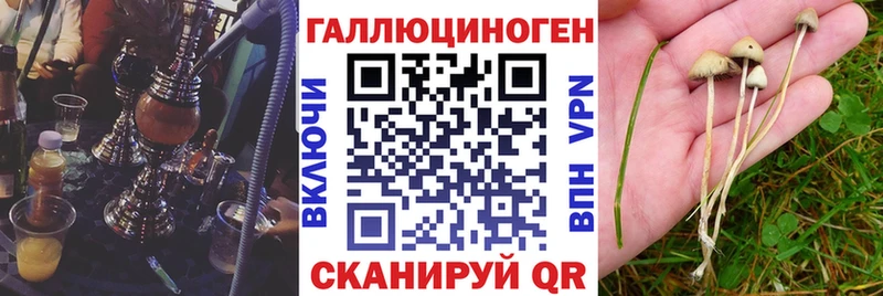 Галлюциногенные грибы Psilocybe MEGA как зайти Кизел